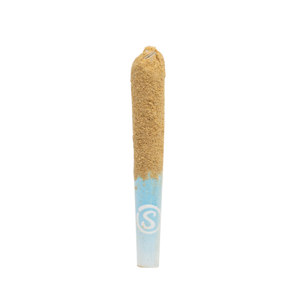 sauce smokes pre roll